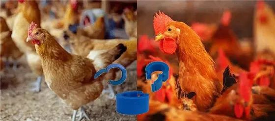 人工智能时代,卖芯片的本土IC设计公司该如何翻身?